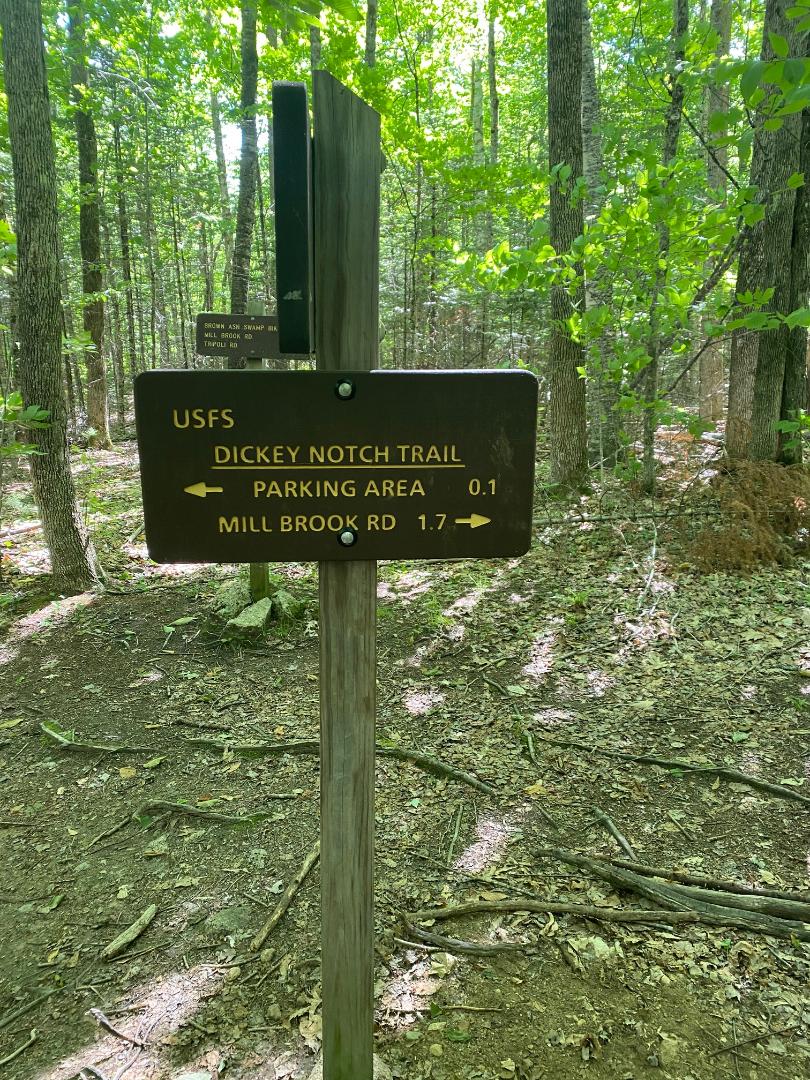 Welch-Dickey Loop Trail Hike